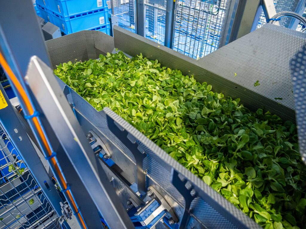 Hessing Supervers - FoodeQ Engineering