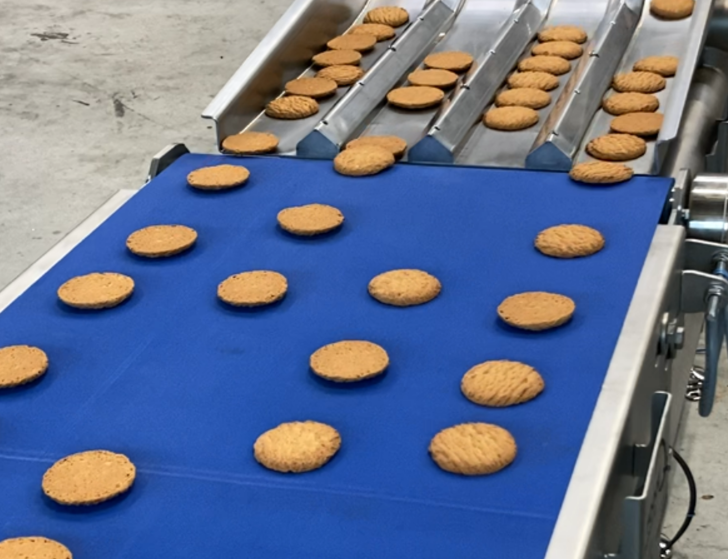Project 16 lijnen voor koekjes